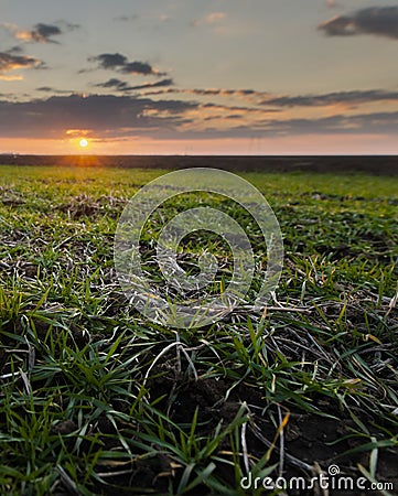 Sun Over Rural Countryside Wheat Field Stock Photo