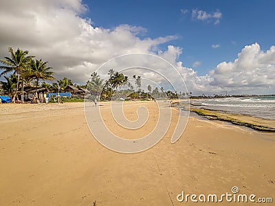 Sun over the tropical beach with coconut palm at Porto de Galinhas, Brazil. Silhouettes of palm trees and amazing cloudy sky on Stock Photo