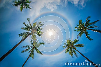 Sun rainbow circular halo phenomenon Stock Photo