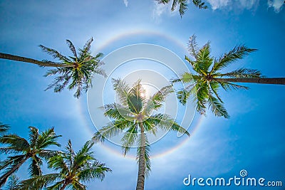 Sun rainbow circular halo phenomenon Stock Photo