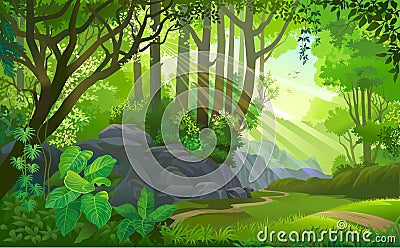 The path across a dense jungle with trees, grass, boulders, dirt, bushes and plants Vector Illustration