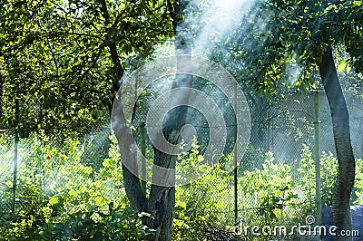 Sun rays in smoke. picnic on vacation and holiday. summer cottage is dacha. Making barbecue in nature near country house. smoke Stock Photo