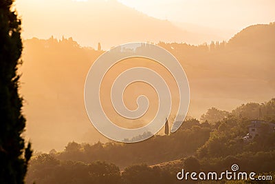 Sun rays spreading over the green lush trees in the small town Stock Photo