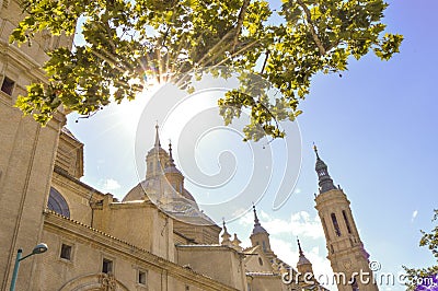 Sun rays from under a tree Stock Photo