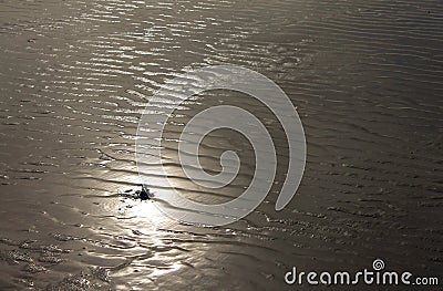 Sun reflecting on sand wrinkles Stock Photo