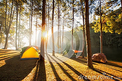 Sun rise at Pang-ung, Pine forest in Thailand Stock Photo