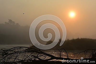 Sun rising above the foggy river in Chitwan National Park in Nepal Stock Photo