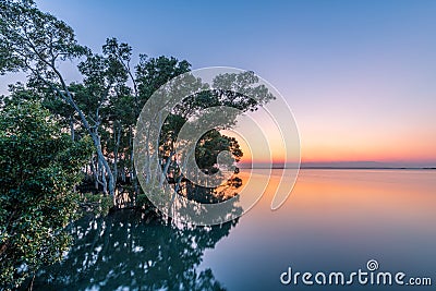 The sun rising over still waters with in a mangrove forest Stock Photo