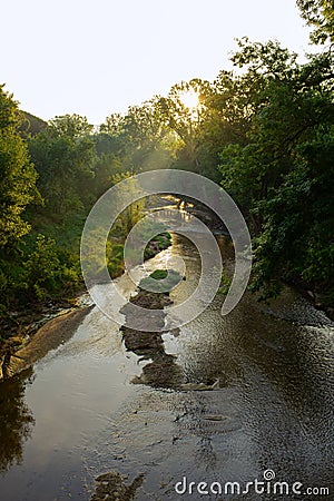 Sun rising shining through green leaves tree forest over a stream river landscape in Girona, Catalonia Stock Photo