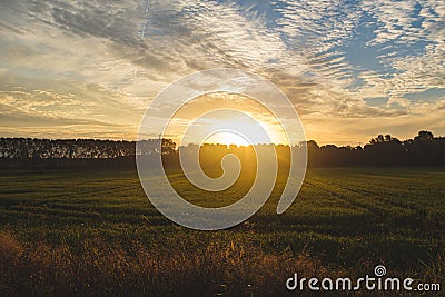 Sun rising and shining on a green rice field landscape on a cloudy sky Stock Photo