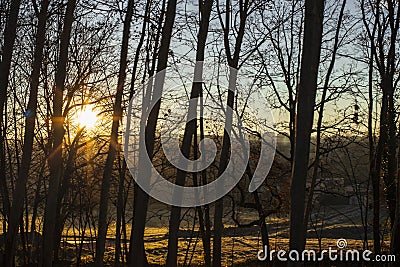 Sun rising and shining over silhouette tree branches Stock Photo