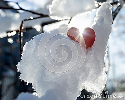The sun`s rays break through the red heart on the snow pile on the branch Stock Photo