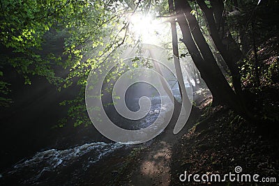 The sun`s rays illuminate the dark gorge Stock Photo