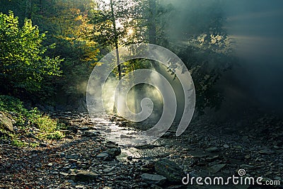 The sun`s rays make their way through the morning mist against the backdrop of a mountain river and a forest. Picturesque forest l Stock Photo