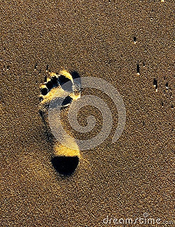 Sunset Footprint in Sand Stock Photo