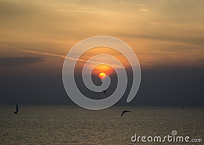 SUN SETS BEHIND CLOUD AND SEAGULLS Stock Photo