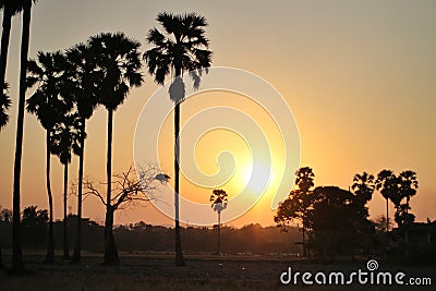 The sun sets over Thung Tan in the evening Editorial Stock Photo