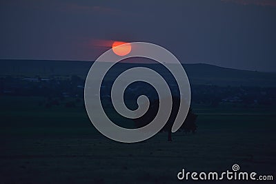 Sun setting down behind a tree. Stock Photo