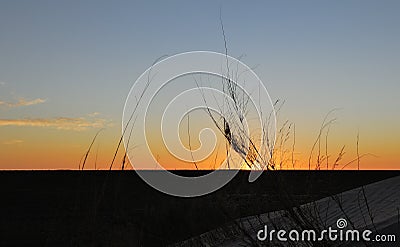 Sun setting over a flat horizon with some tall grass Stock Photo