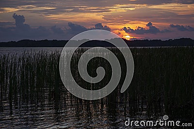 Sun Setting Over Lake Tarpon, Florida Stock Photo