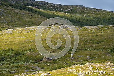 Sun shifting Padjelanta National Park Next to Big Lake Virihaure Stock Photo