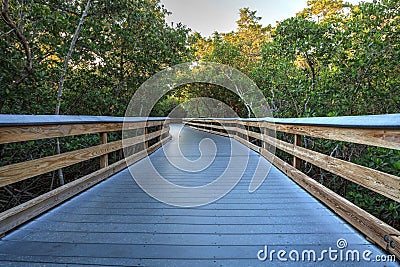 Sun shines through mangrove trees that line a Boardwalk leading down to the beach of Clam Pass Stock Photo