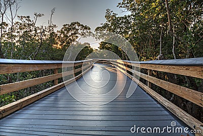 Sun shines through mangrove trees that line a Boardwalk leading down to the beach of Clam Pass Stock Photo