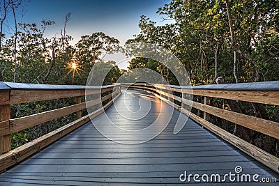 Sun shines through mangrove trees that line a Boardwalk leading down to the beach of Clam Pass Stock Photo