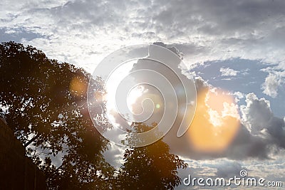 Sun behind clouds and backlighted tree with flares Stock Photo