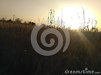 Sun sine in village Stock Photo