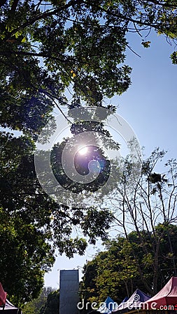 Sun sky cloud shinning summer tree view aesthetic sunrice Stock Photo