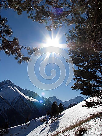 Sun and trees in winter mountains Stock Photo