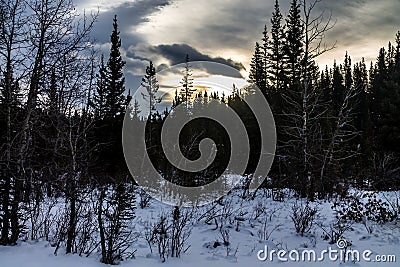 Waiprous creek in winter, Waiprous Provincial Recreation Area, Alberta, Canada Stock Photo