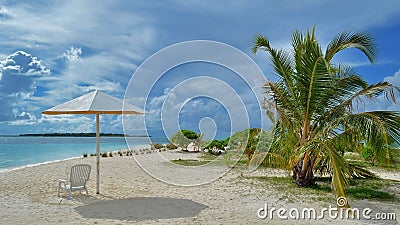 Sun umbrella and palm tree at the ocean Stock Photo