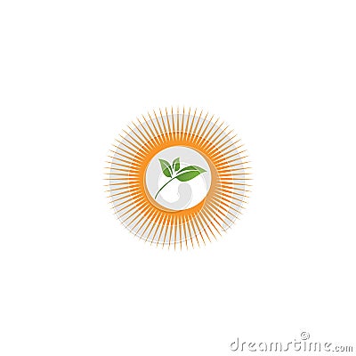 Sun Vector illustration Icon Cartoon Illustration