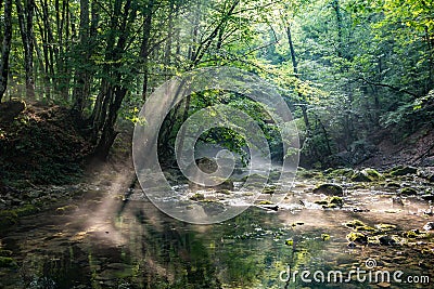 Sunbeam in the picturesque forest shines on the water surface Stock Photo