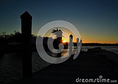 Sunbeams extend over treelined background while bird flies overhead in Marathon Key bay Stock Photo