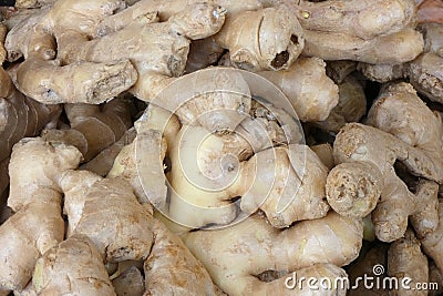 Sunchokes Stock Photo