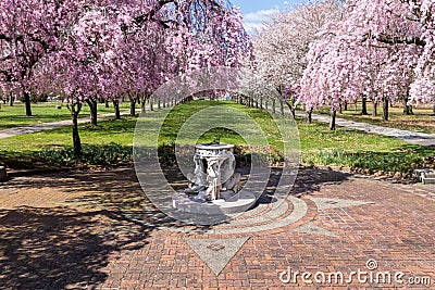 Sundial and Beautiful Pink Cherry Blossoms with Trees in Full Bloom and No People in Fairmount Park, Philadelphia, Pennsylvania Stock Photo