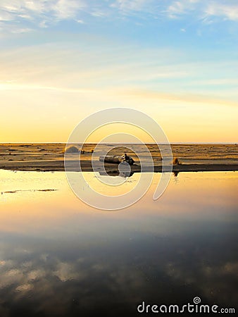 Sundown over Pacific Ocean bay at Gold Bluffs Beach, Prairie Creek Redwoods State Park Stock Photo