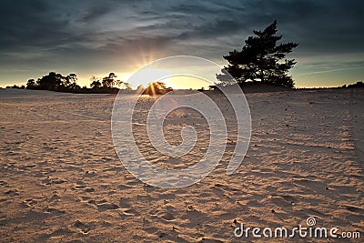 Sundown over sand dunes Stock Photo