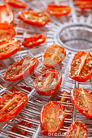 Sundried cherry tomatoes on food dehydrator tray Stock Photo