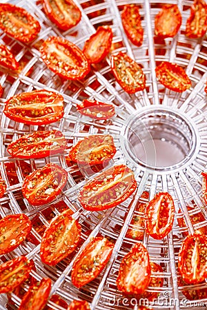 Sundried cherry tomatoes on food dehydrator tray Stock Photo