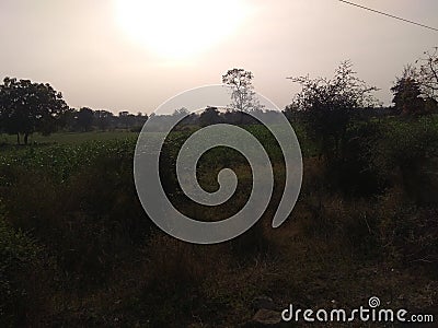 Sunet in kurala po.dawha tq malegaon district washim Stock Photo