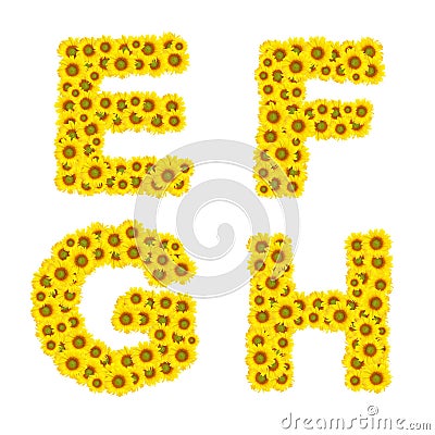 Sunflower alphabet Stock Photo