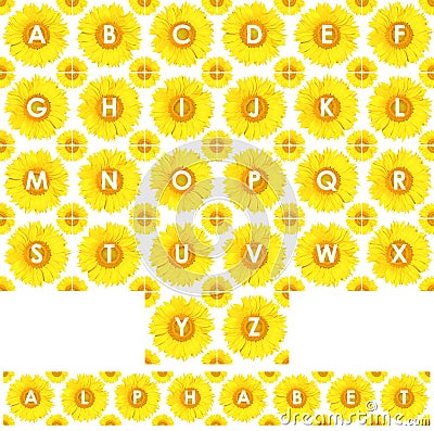 Sunflower alphabet Stock Photo