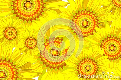 Sunflower background Stock Photo