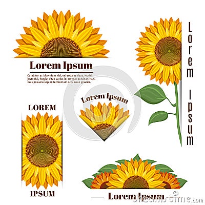 Sunflower banners and yellow sun flower labels with text Cartoon Illustration