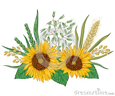 Sunflower, barley, wheat, rye, rice and oat. Collection decorative floral design elements. Vector Illustration