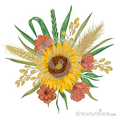 Sunflower, barley, wheat, rye, rice, poppy. Collection decorative floral design elements. Vector Illustration